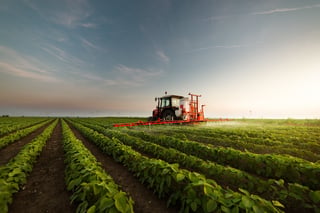 Campo agrícola con cultivos verdes